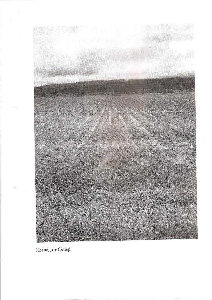 Земеделска земя Белчин