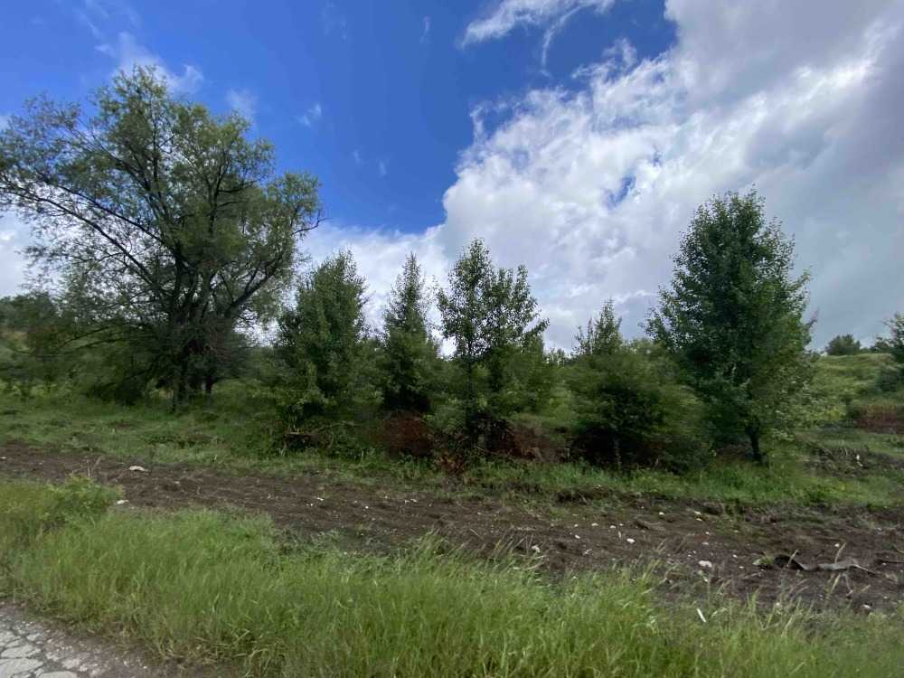 Парцел София