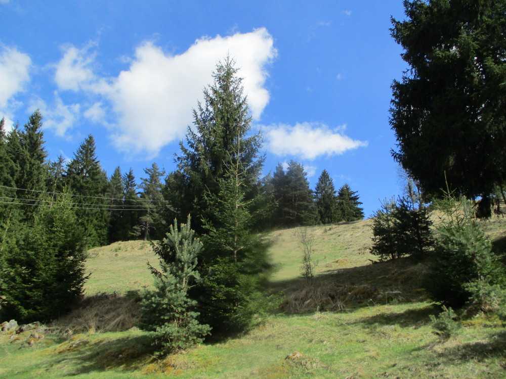 Парцел Доспат