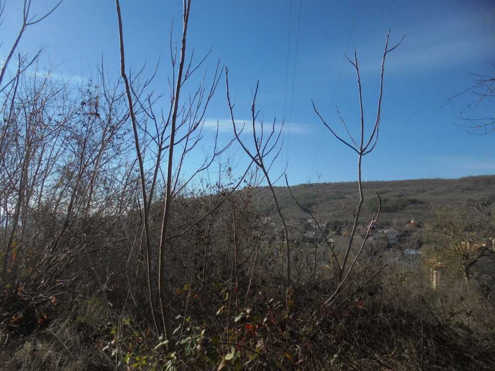 Парцел в гр. Балчик