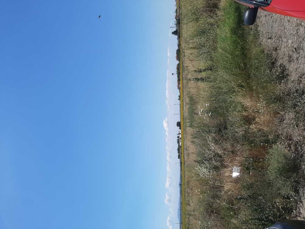 Парцел Поморие