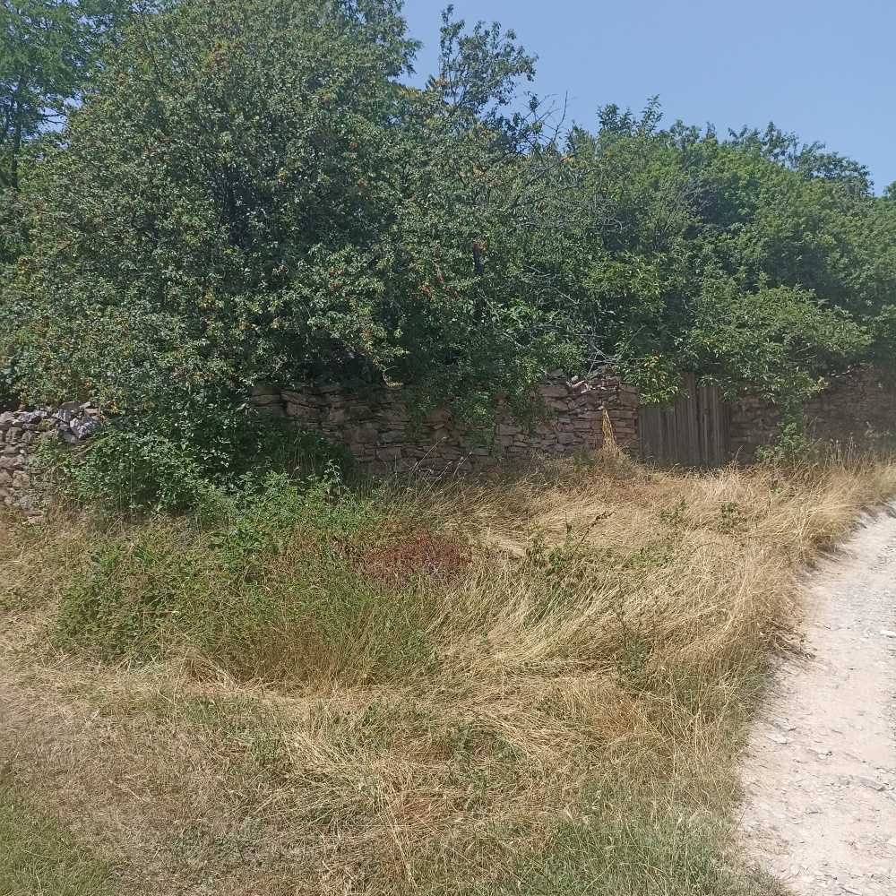 Парцел Петрич