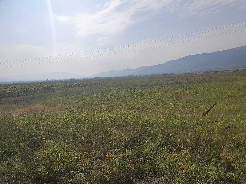 Земеделска земя Полянци