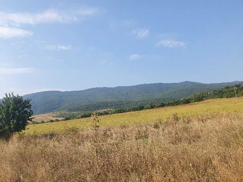 Земеделска земя Полянци