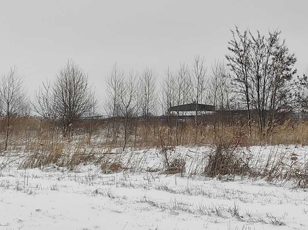 Парцел Чепинци