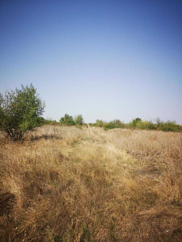 Земеделска земя в с. Железник