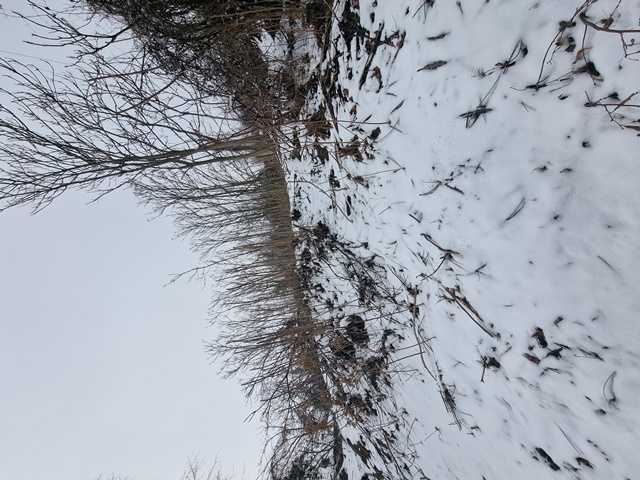 Парцел Батишница