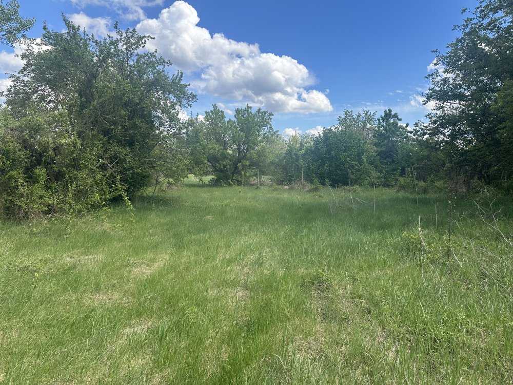 Парцел Благоево