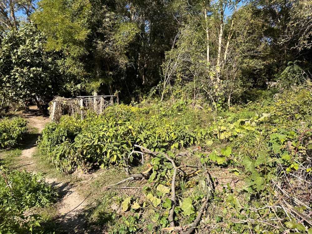 Земеделска земя Приморско