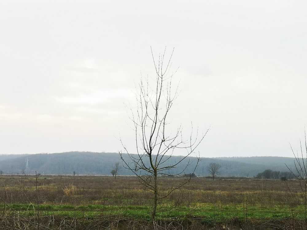 Земеделска земя Приморско