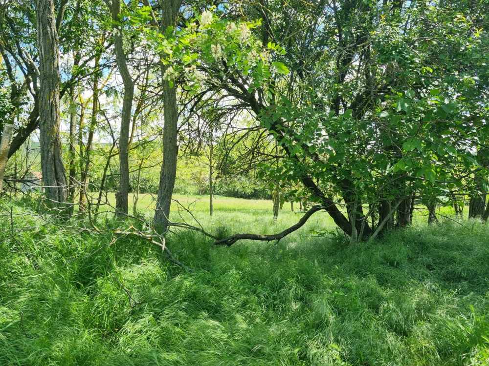 Парцел Войводино