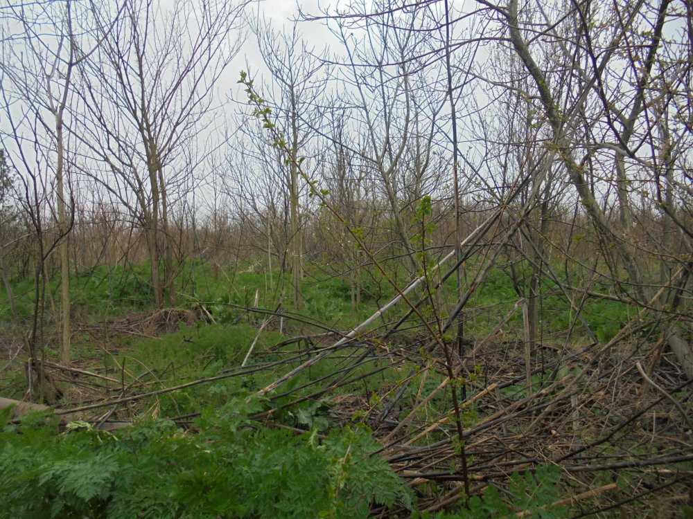 Парцел Горичане