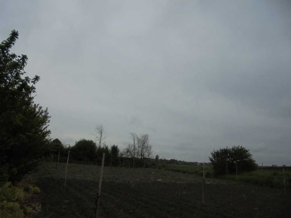 Парцел Полковник Минково