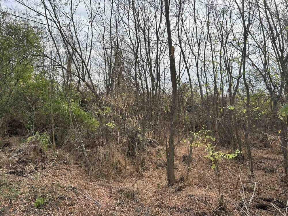 Парцел Острица