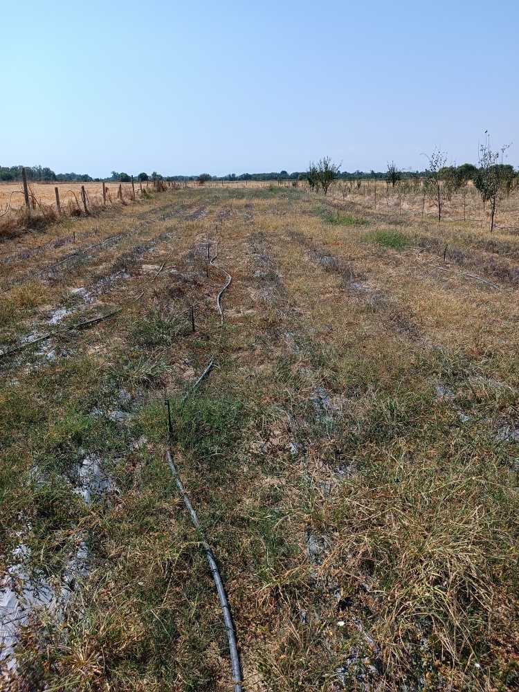 Земеделска земя Долна махала