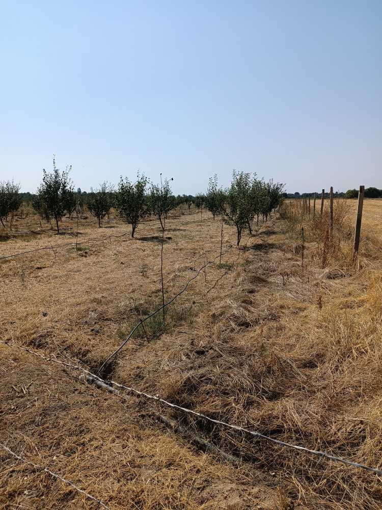 Земеделска земя Долна махала