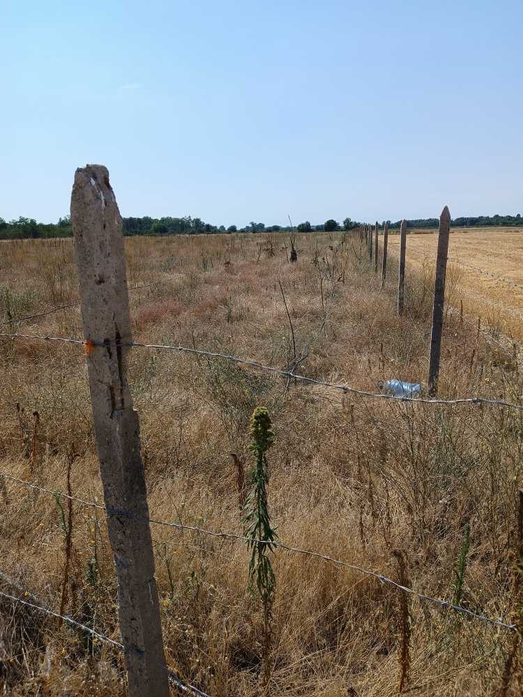 Земеделска земя Долна махала