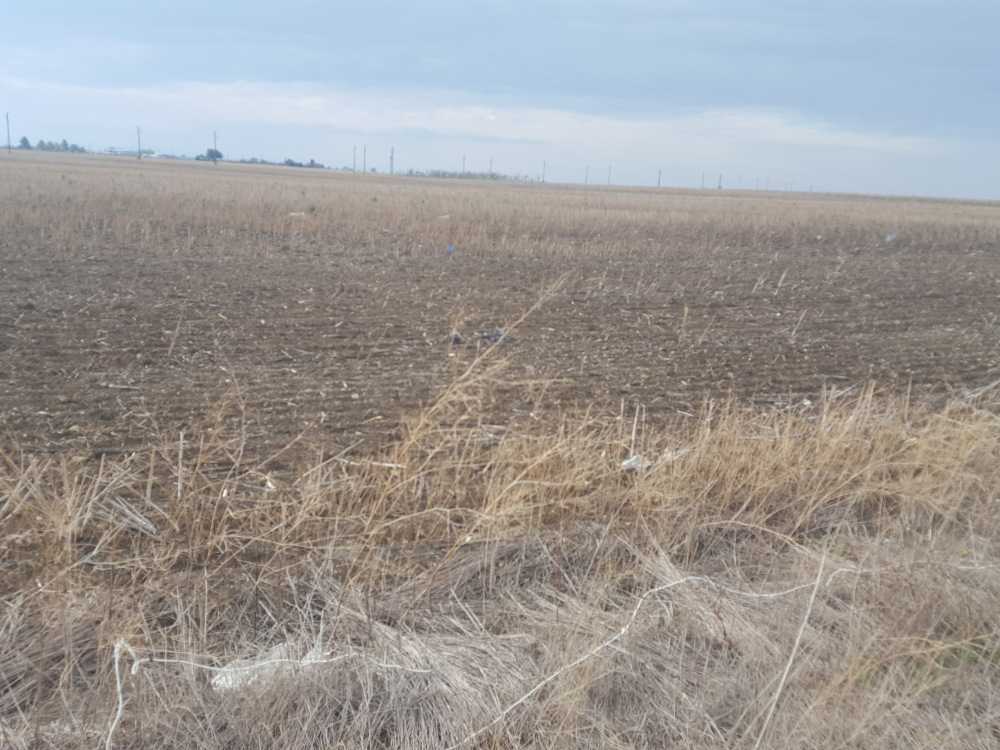 Земеделска земя Равда