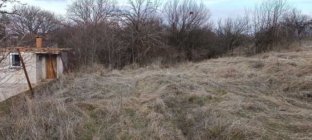 Парцел Житен