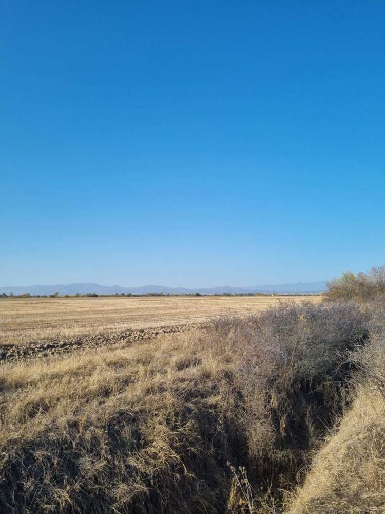 Земеделска земя Калояново