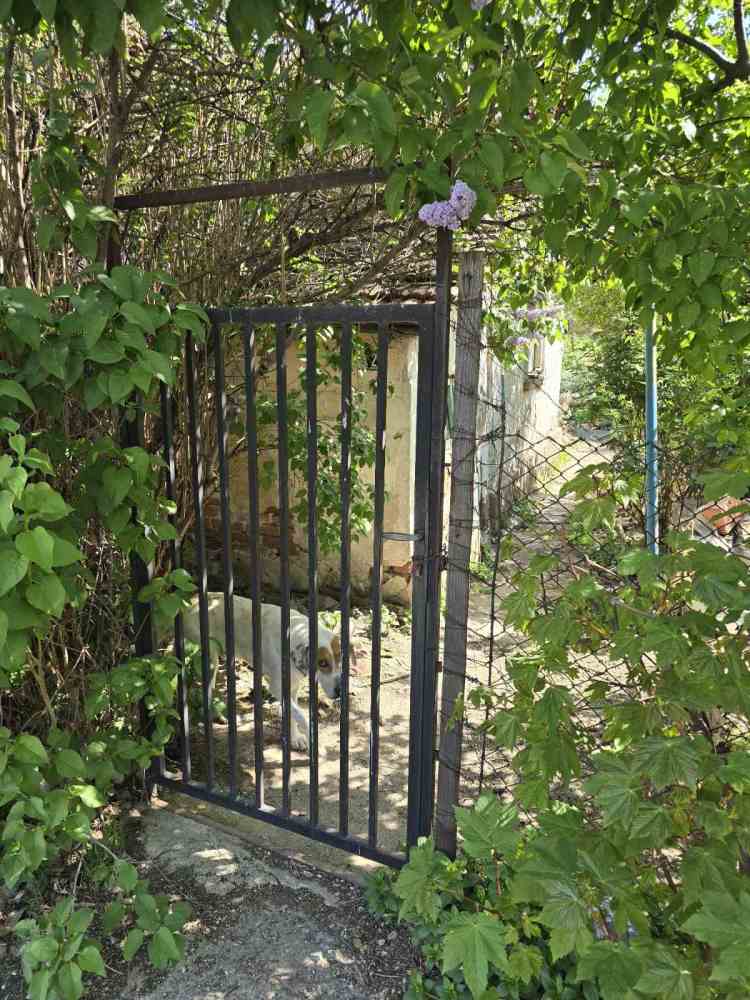 Парцел с къща София