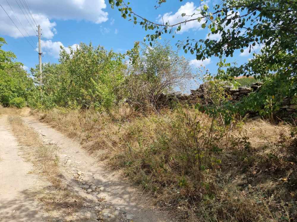 Парцел Аврен