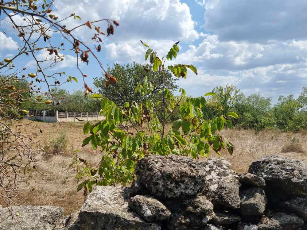 Парцел Аврен