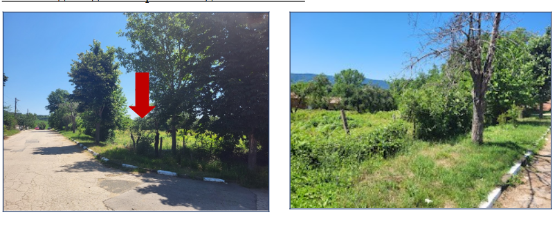 Парцел Камен дял