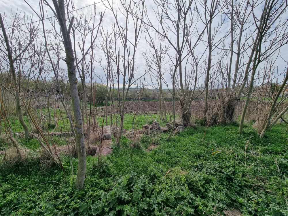 Парцел Генерал Киселово