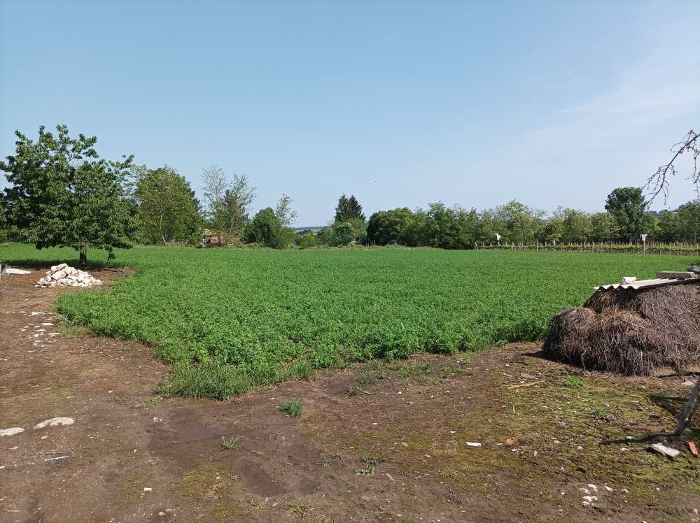 Парцел Полковник Дяково