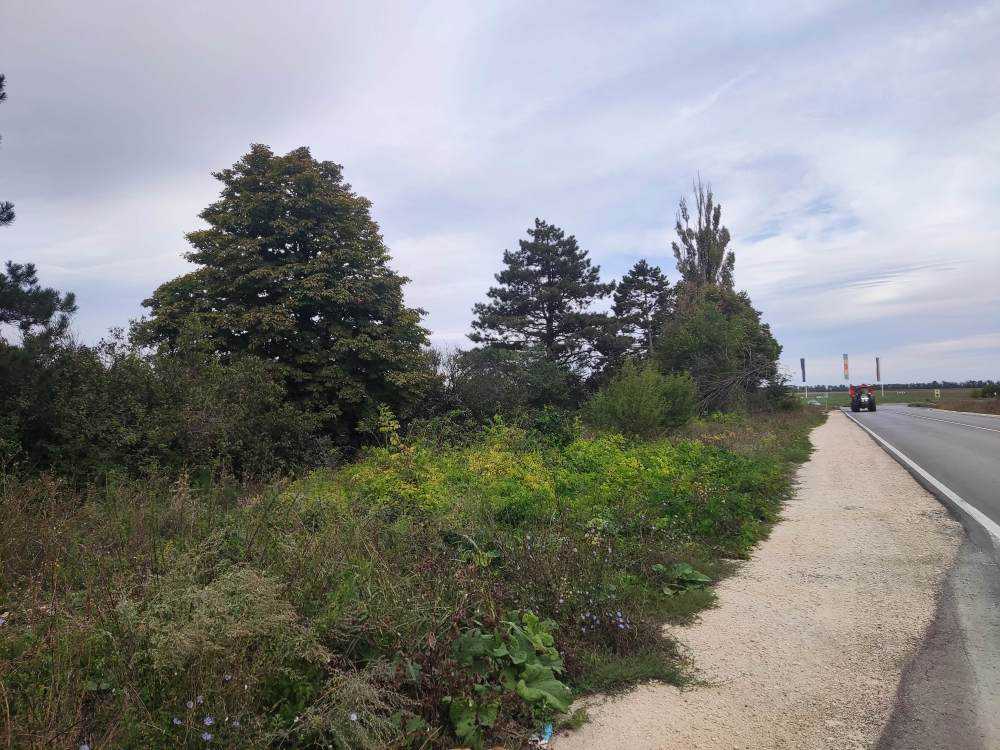 Парцел Добрич