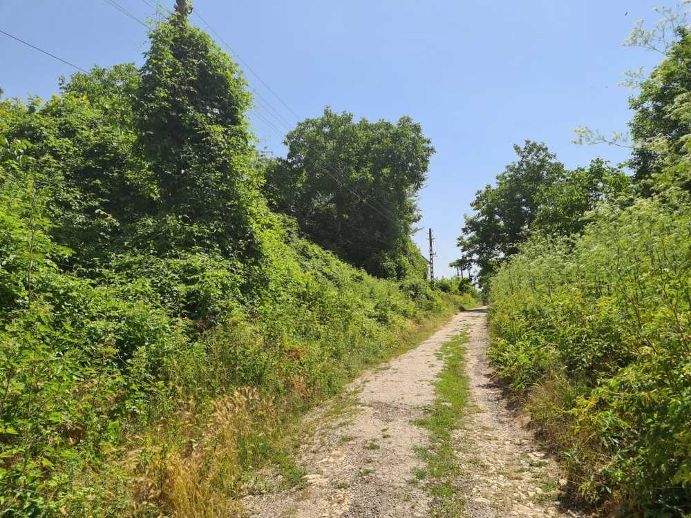 Парцел Нова Върбовка