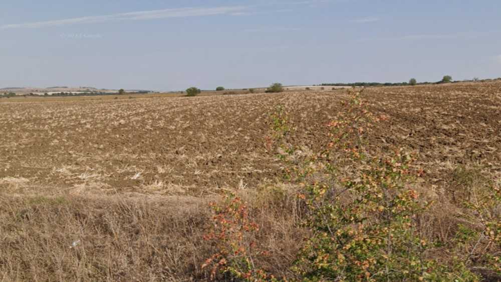 Земеделска земя Александрово