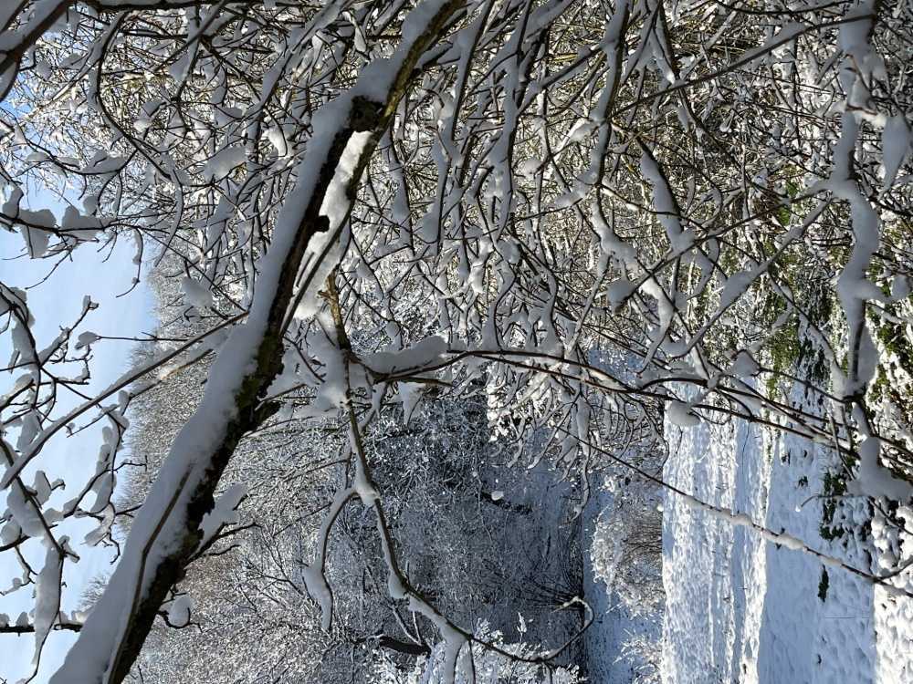 Парцел Радево