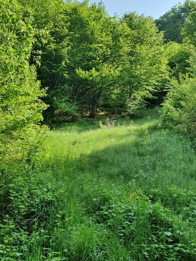 Парцел Смолян