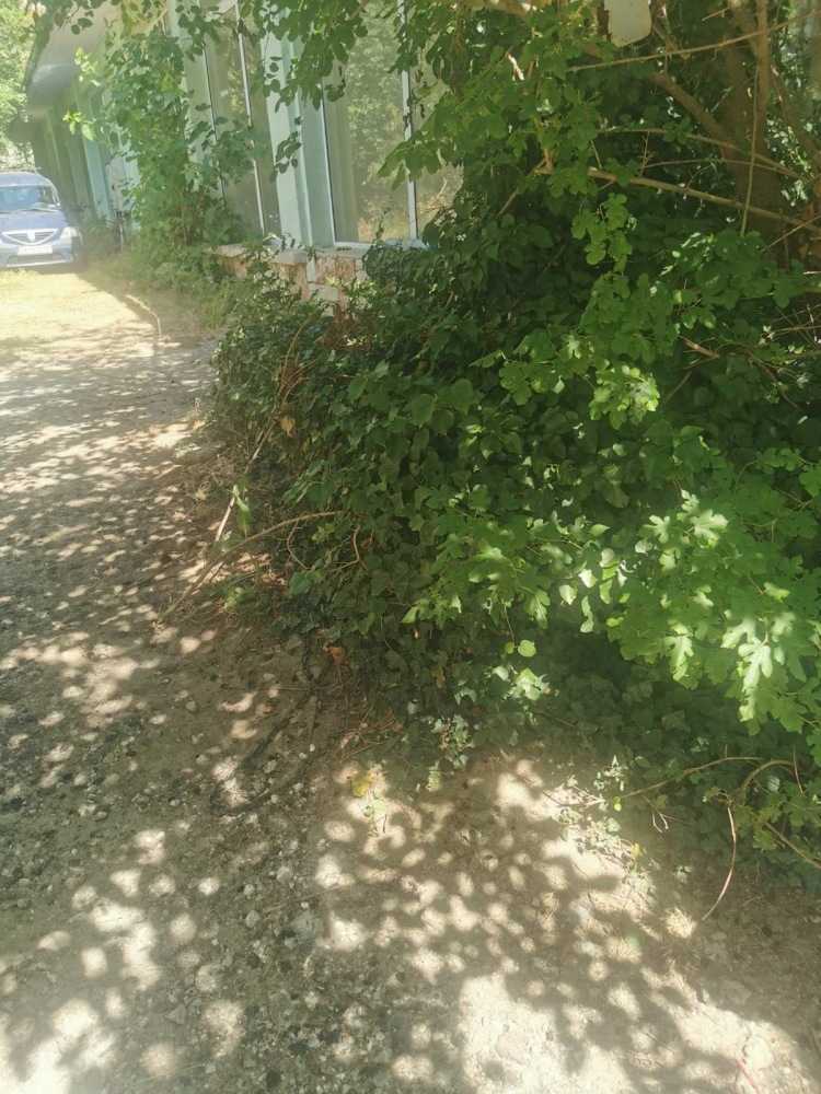 Други Варна