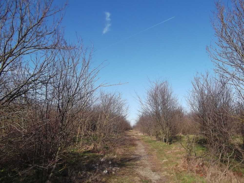 Парцел Рогозина