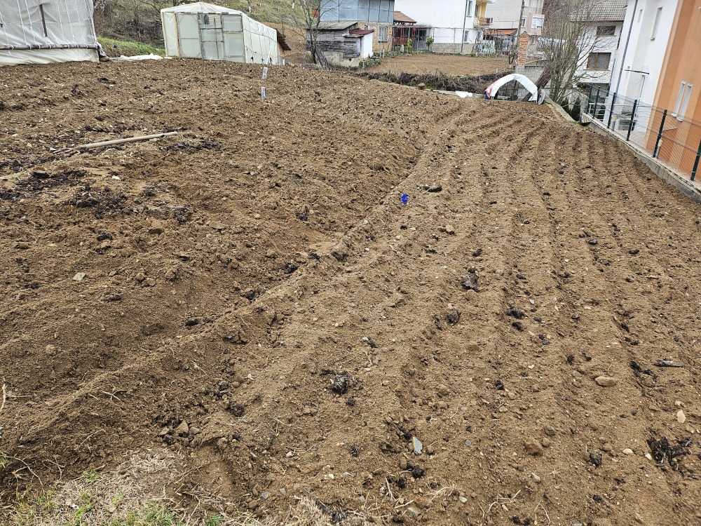 Парцел Неделино