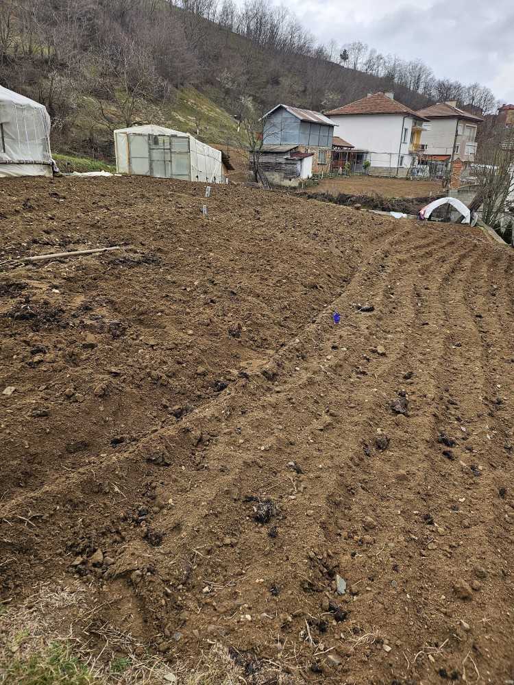 Парцел Неделино