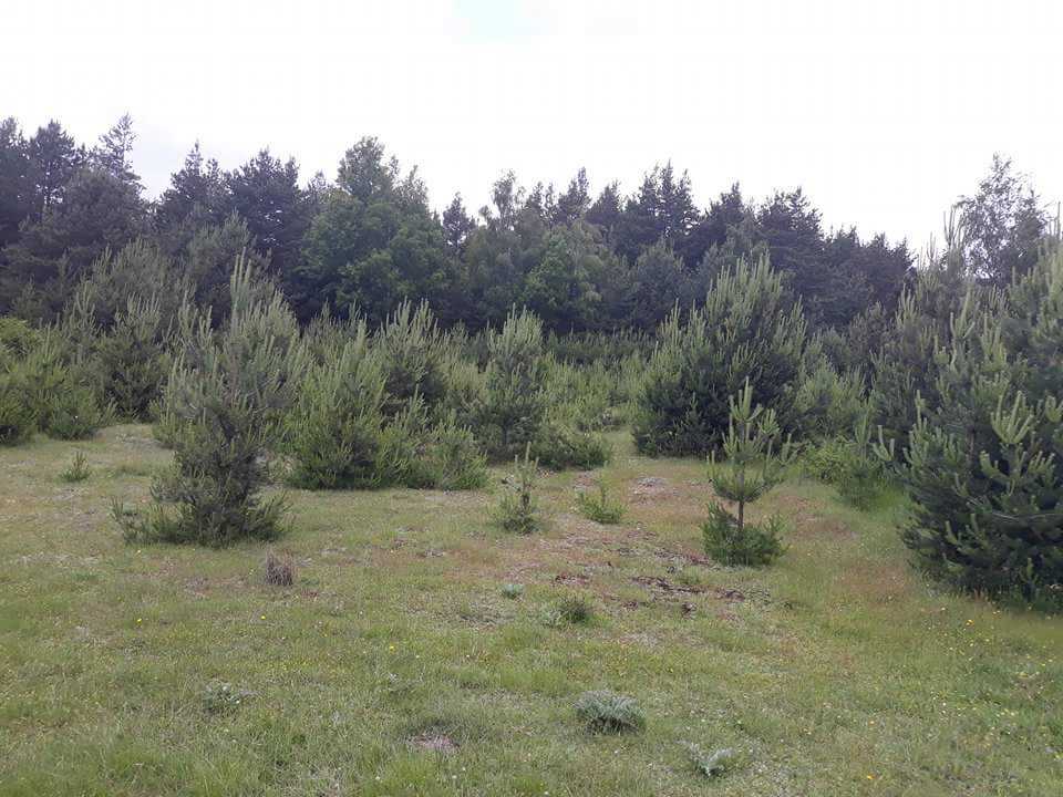 Парцел Загражден