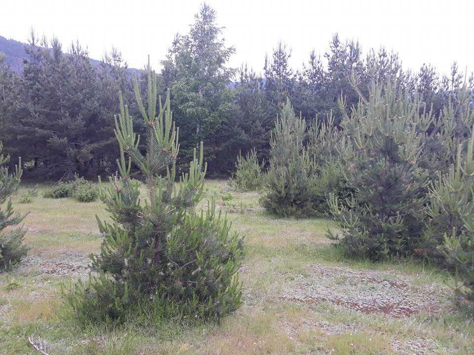 Парцел Загражден