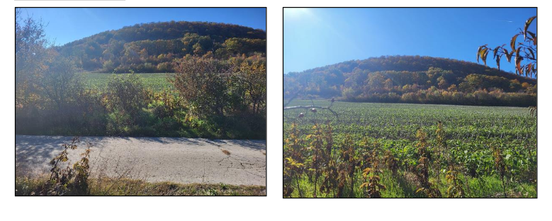 Земеделска земя Аспарухово