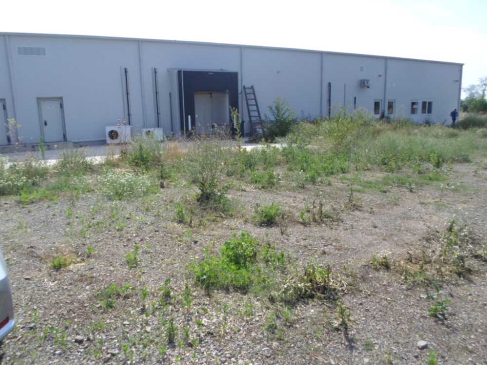 Търговски имот Камено