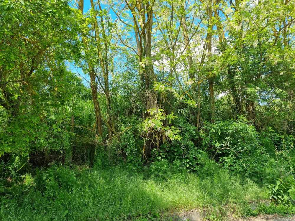 Парцел Войводино