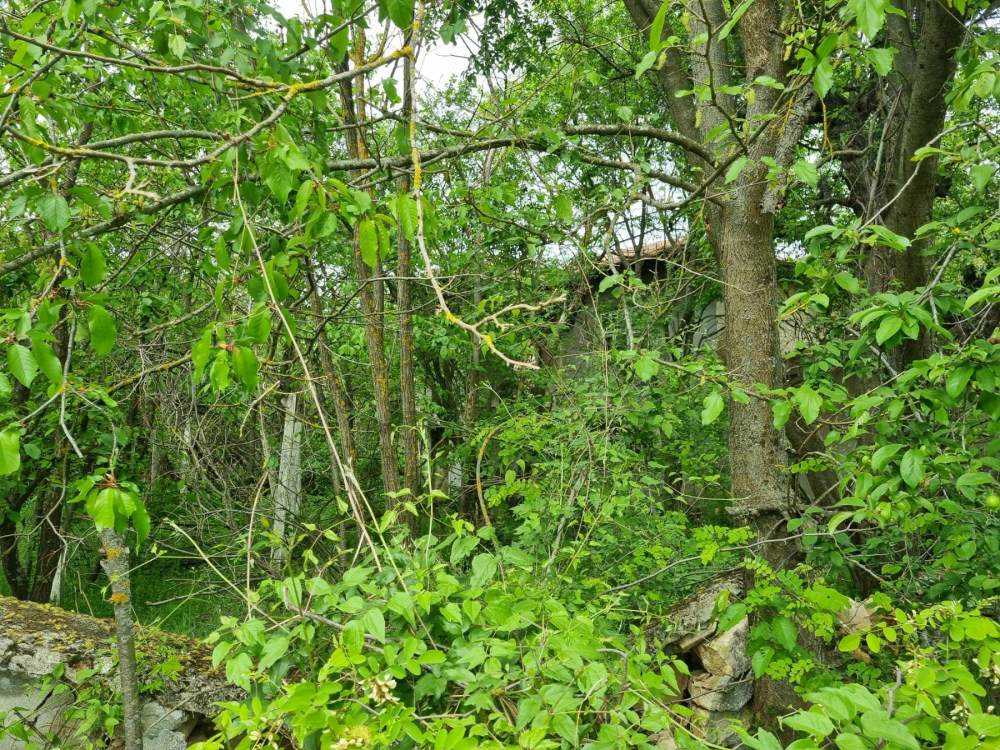 Парцел с къща в Щипско