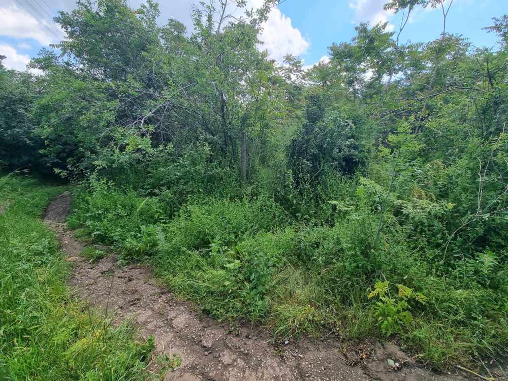 Парцел Войводино