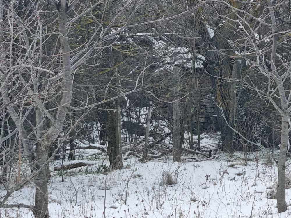 Парцел с къща в Щипско