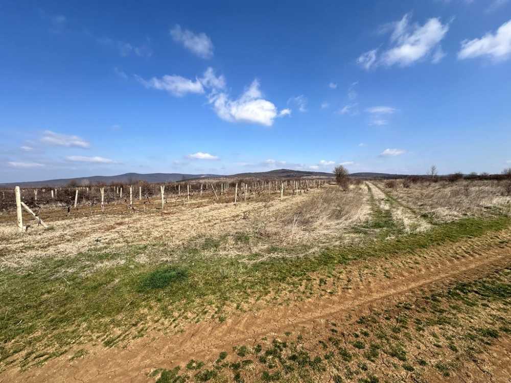 Земеделска земя Лозарево