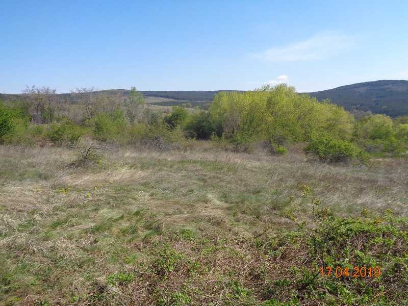 Земеделска земя Елшица