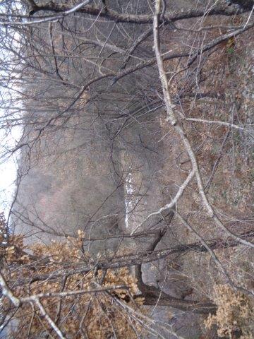 Земеделска земя Елшица